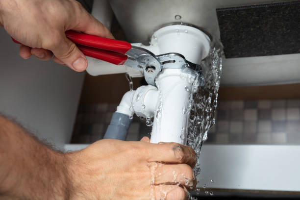 Best Professional water damage repair  in Nemacolin, PA