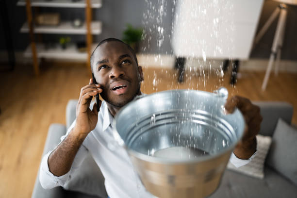 Best Residential water damage restoration  in Nemacolin, PA