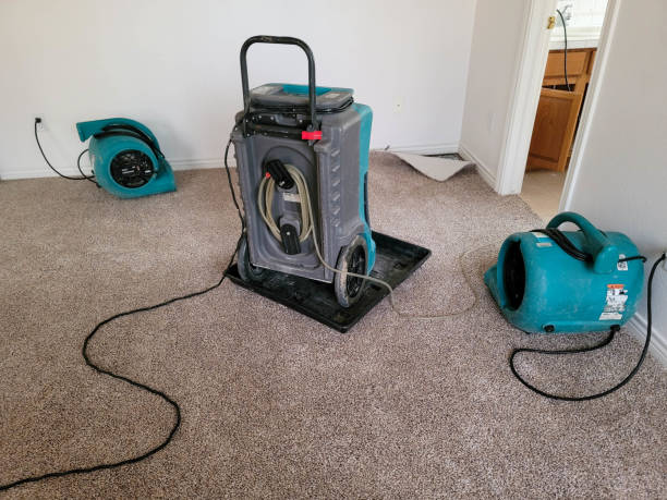 Best Water damage restoration mold remediation  in Nemacolin, PA