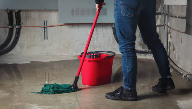 Best Water damage cleanup near me  in Nemacolin, PA