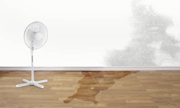 Best Commercial water damage restoration  in Nemacolin, PA