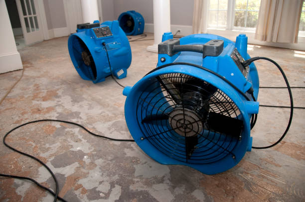 Best Carpet water damage restoration  in Nemacolin, PA