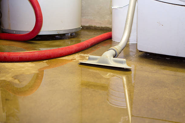 Best Flood restoration services  in Nemacolin, PA
