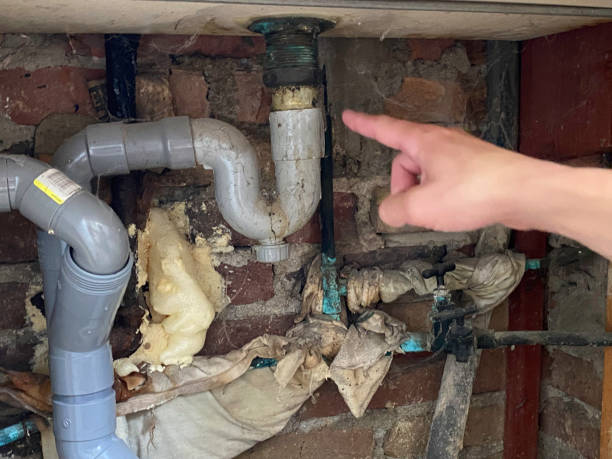 Best Sewage cleanup and water damage restoration  in Nemacolin, PA