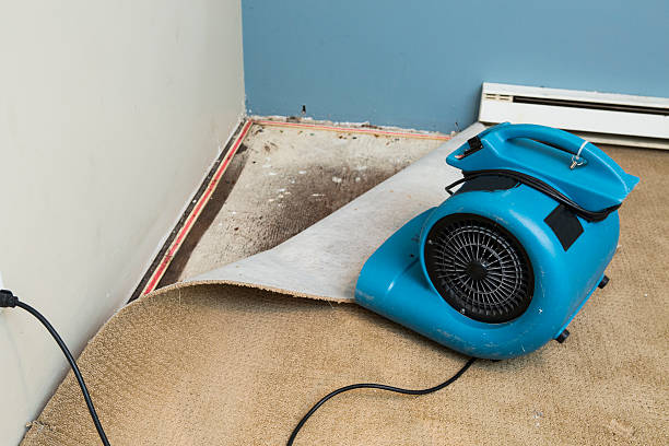 24/7 water damage repair in Nemacolin, PA